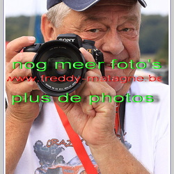 2010