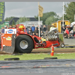 2011
