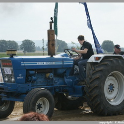 Heestert